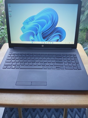 255 laptop windows - hp, 11